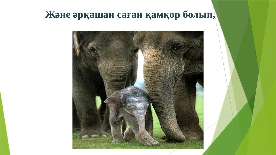 Және әрқашан саған қамқор болып,