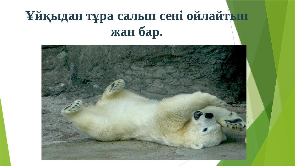 Ұйқыдан тұра салып сені ойлайтын жан бар.