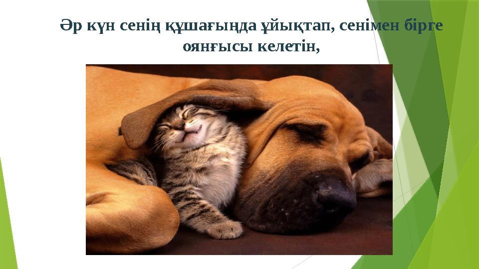 Әр күн сенің құшағыңда ұйықтап, сенімен бірге оянғысы келетін,