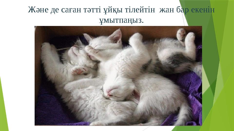 Және де саған тәтті ұйқы тілейтін жан бар екенін ұмытпаңыз.