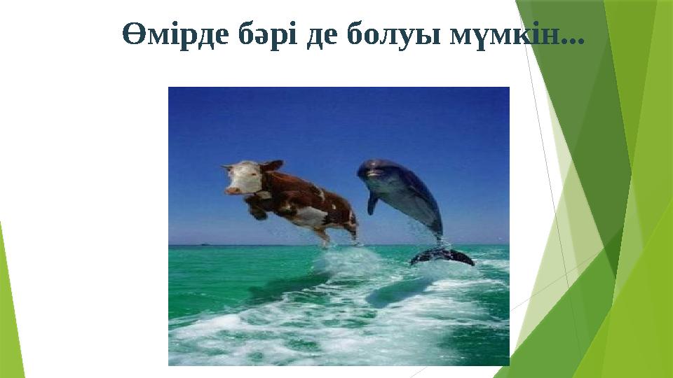 Өмірде бәрі де болуы мүмкін...
