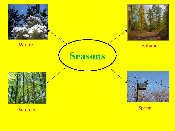 Seasons Winter Autumn Summer Spring
