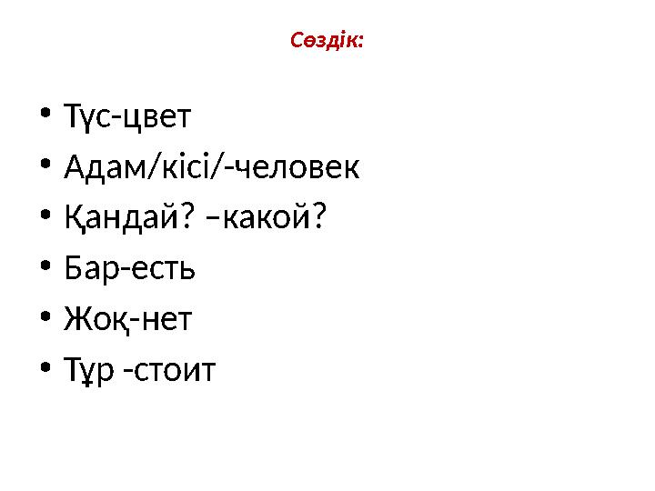 Сөздік: •Түс-цвет •Адам/кісі/-человек •Қандай? –какой? •Бар-есть •Жоқ-нет •Тұр -стоит
