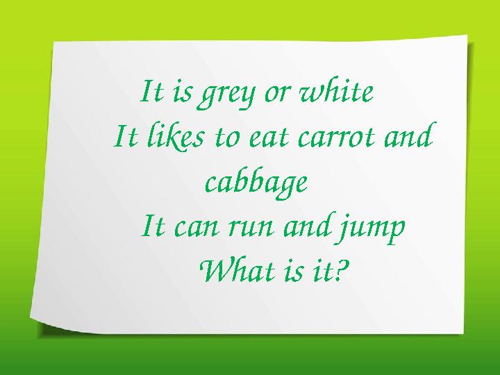 It is grey or white It likes to eat carrot and cabbage It can run and jump What is it?