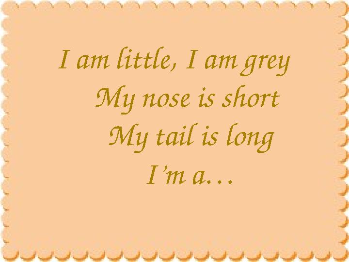 I am little, I am grey My nose is short My tail is long I’m a…