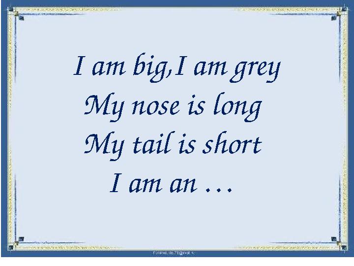 I am big,I am grey My nose is long My tail is short I am an …