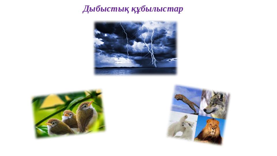 Дыбыстық құбылыстар