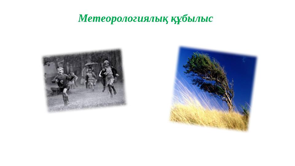 Метеорологиялық құбылыс