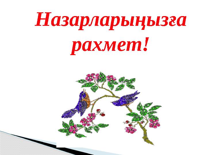 Назарларыңызға рахмет!