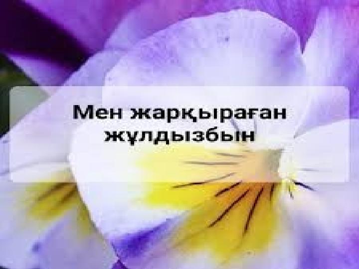 img_page_1