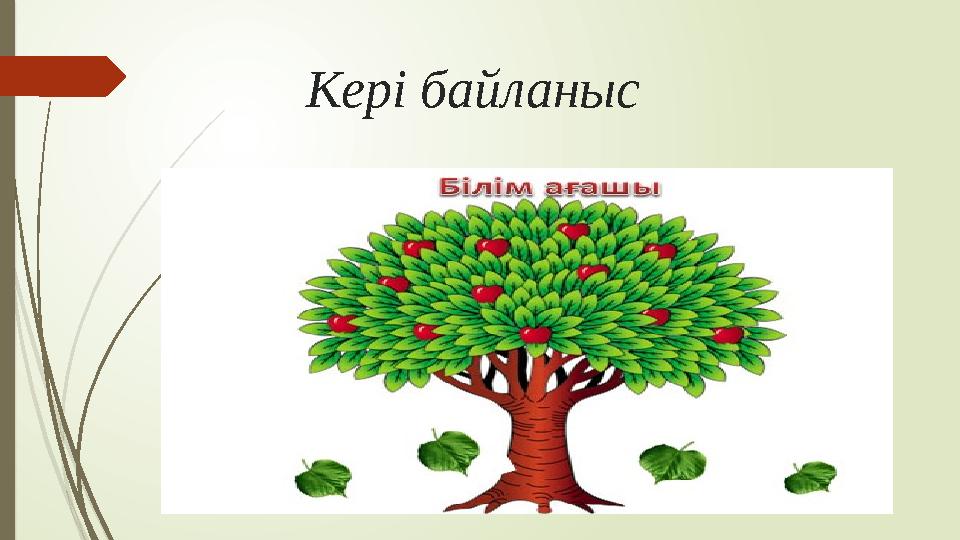 Кері байланыс