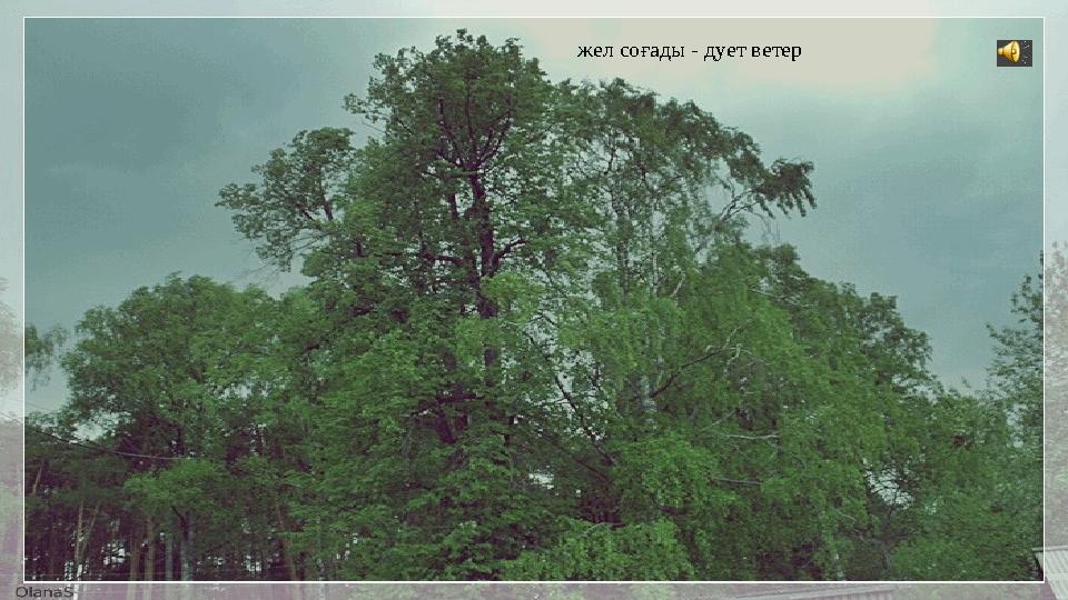 жел соғады - дует ветер
