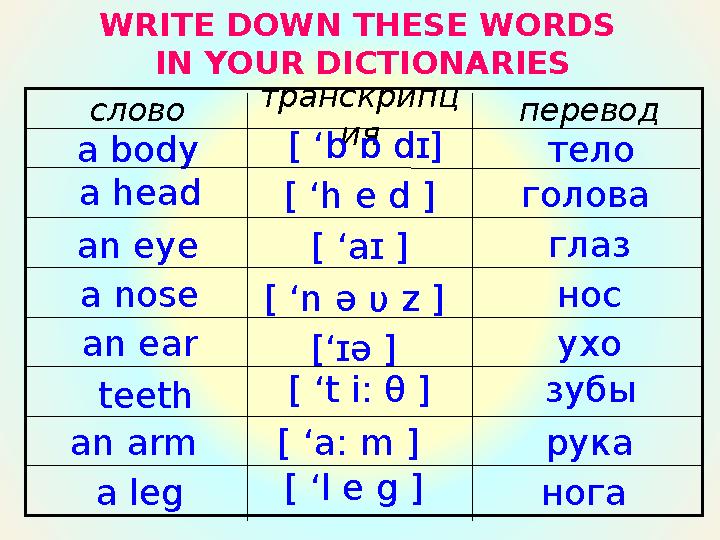 WRITE DOWN THESE WORDS IN YOUR DICTIONARIES переводтранскрипц ияслово тело[ ‘ b ɒ dɪ] a body нога [ ‘l e g ] a leg р