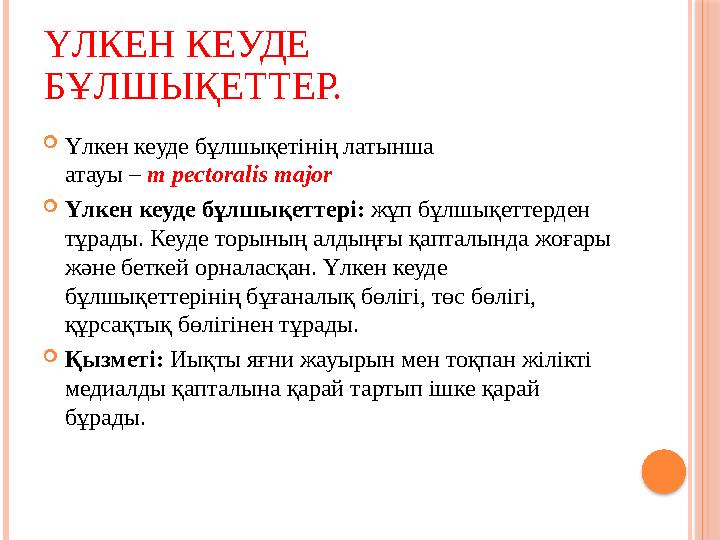 ҮЛКЕН КЕУДЕ БҰЛШЫҚЕТТЕР.  Үлкен кеуде бұлшықетінің латынша атауы – m pectoralis major  Үлкен кеуде б