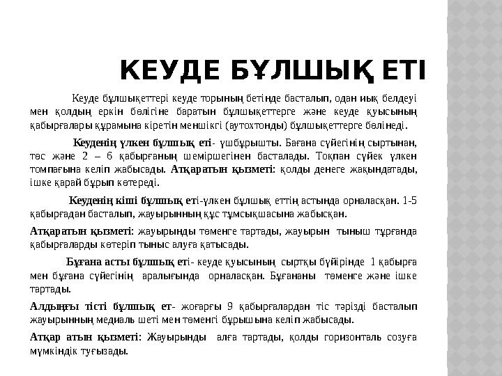 КЕУДЕ БҰЛШЫҚ ЕТІ Кеуде бұлшықеттері кеуде торының бетінде басталып, одан иық белдеуі мен қолдың еркін б