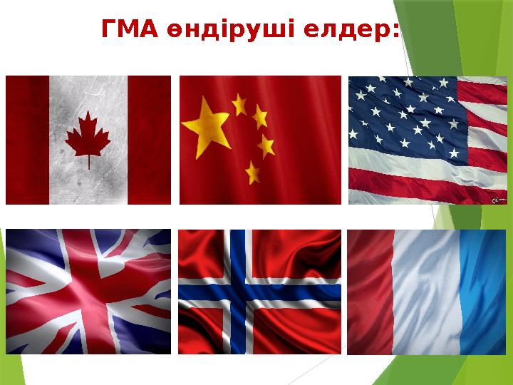 ГМА өндіруші елдер: