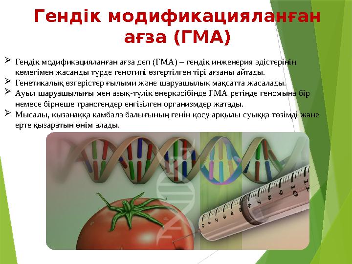 Гендік модификацияланған ағза деп (ГМА) – гендік инженерия әдістерінің көмегімен жасанды түрде генотипі өзгерт