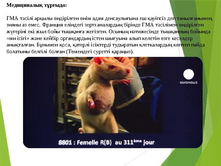 Медициналық тұрғыда: ГМА тәсілі арқылы өндірілген өнім адам денсаулығына еш қауіпсіз деп танылғанымен, зияны аз