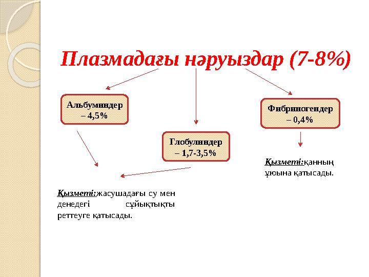 Плазмадағы нәруыздар (7-8%) Альбуминдер – 4,5% Глобулиндер – 1,7-3,5% Фибриногендер – 0,4% Қызметі:жасушадағы су мен д