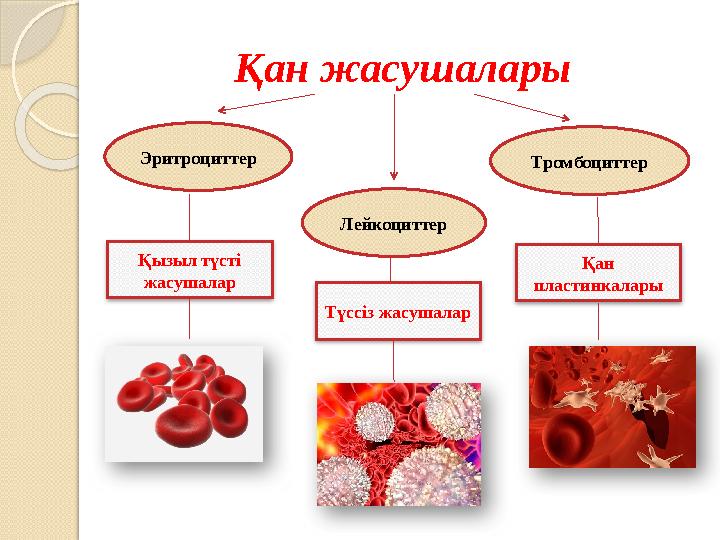 Киевтегі жеке секс кештері Орыс аруларымен порно түсіру