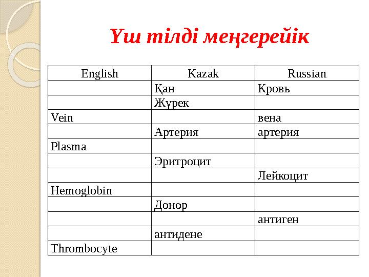 English Kazak Russian Қан Кровь Жүрек Vein вена Артерия артерия Plasma Эритроцит Лейкоцит Hemoglobin