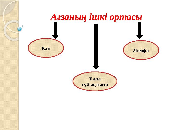 Ағзаның ішкі ортасы Қан Ұлпа сұйықтығы Лимфа