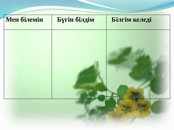 Мен білемін Бүгін білдім Білгім келеді