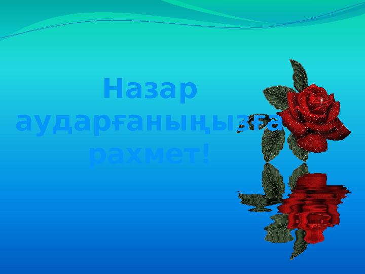 Назар аударғаныңызға рахмет!