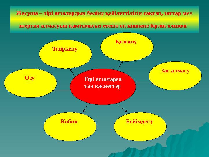 Жасуша – тірі ағзалардың бөліну қабілеттілігін сақтап, заттар мен энергия алмасуын қамтамасыз ететін ең кішкене бірлік өлшемі