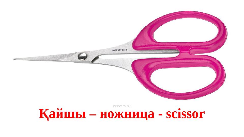 Қайшы – ножница - scissor