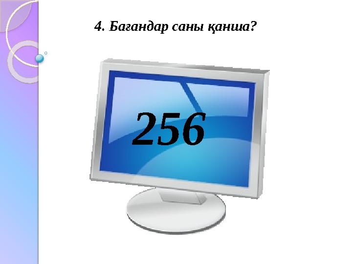 4. Бағандар саны қанша? 256