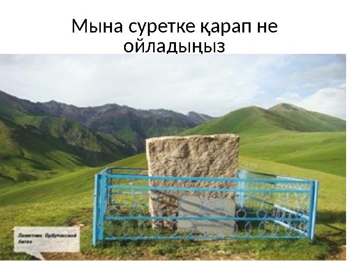 Мына суретке қарап не ойладыңыз