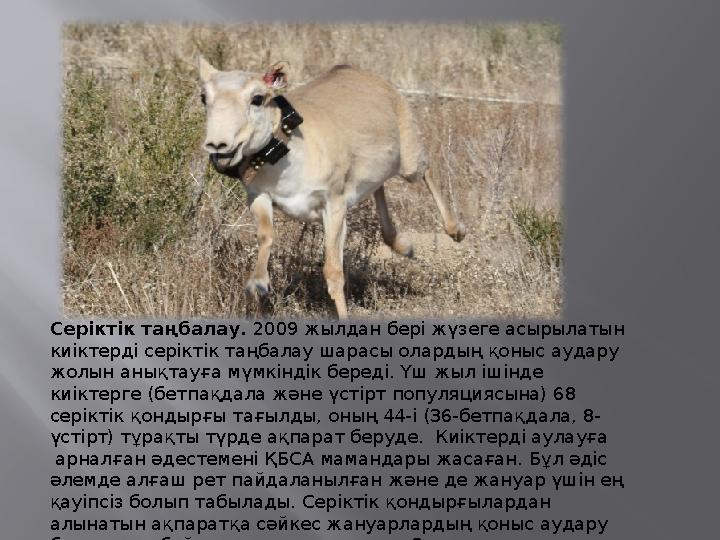 Серіктік таңбалау. 2009 жылдан бері жүзеге асырылатын киіктерді серіктік таңбалау шарасы олардың қоныс аудару жолын анықтауға