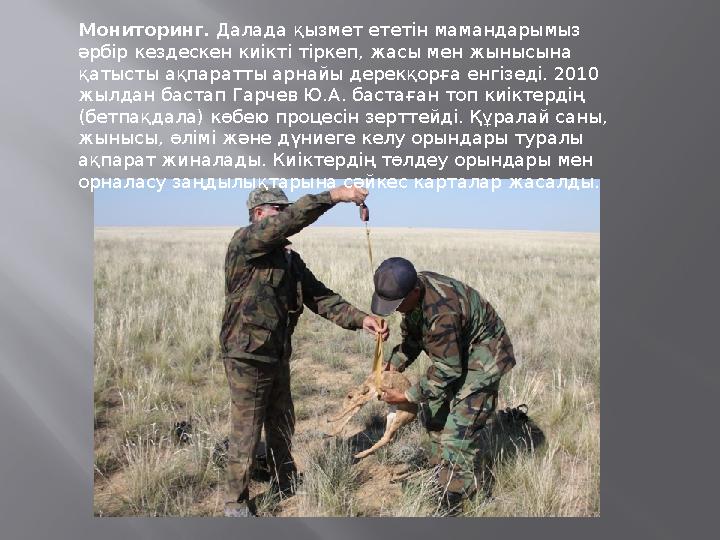 Мониторинг. Далада қызмет ететін мамандарымыз әрбір кездескен киікті тіркеп, жасы мен жынысына қатысты ақпаратты арнайы дерекқ