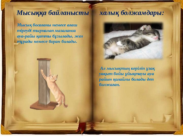 Смотреть порно 2 мойынсұнғыш қызметшілер