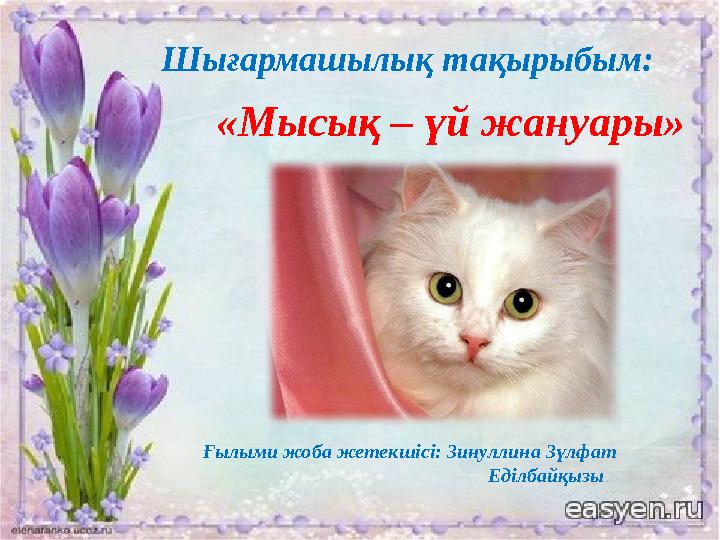 Анна Полина, арнайы тапсырмалар жөніндегі хатшы.