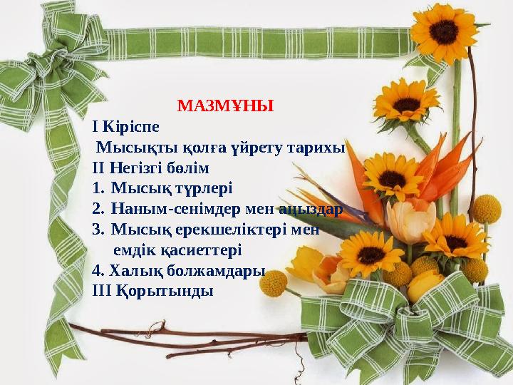 МАЗМҰНЫ І Кіріспе Мысықты қолға үйрету тарихы ІІ Негізгі бөлім 1.Мысық түрлері 2.Наным-се