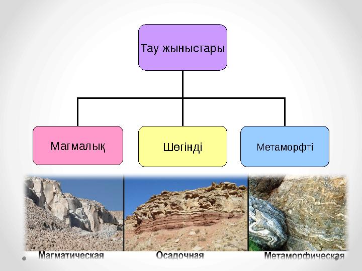 Шкопиниктердің жынысы