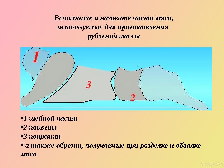 Вспомните и назовите части мяса, используемые для приготовления рубленой массы • 1 шейной части • 2 пашины • 3 покромки • а