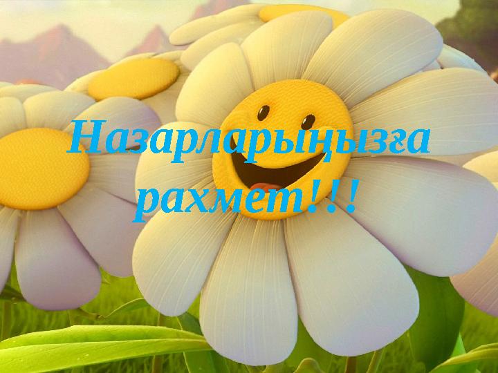 Назарларыңызға рахмет!!!