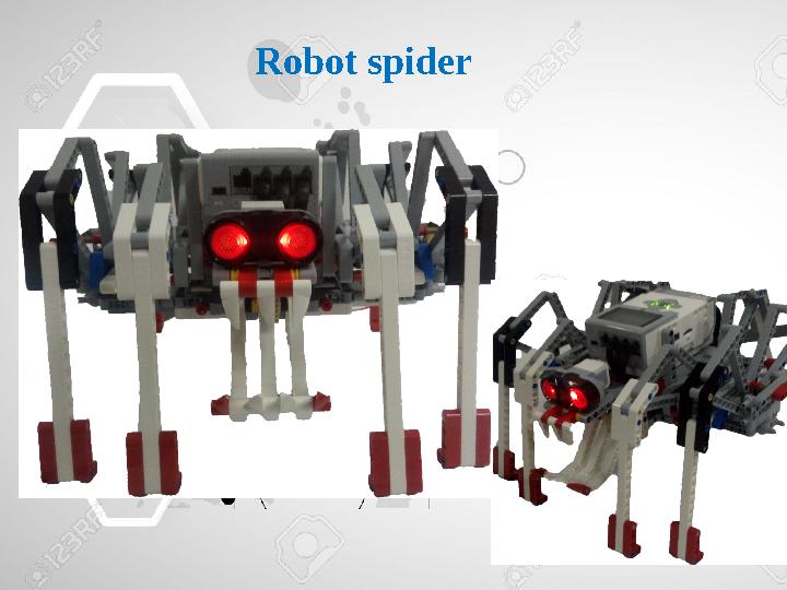 Robot spider