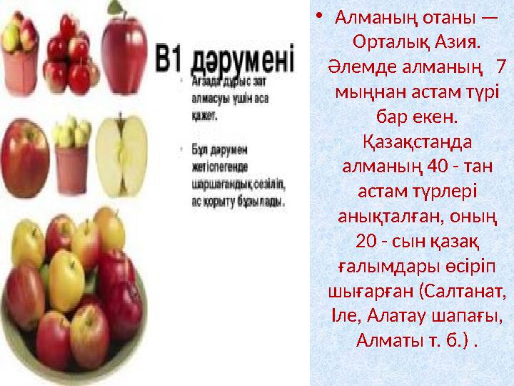 •Алманың отаны — Орталық Азия. Әлемде алманың 7 мыңнан астам түрі бар екен. Қазақстанда алманың 40 - тан астам түрлері