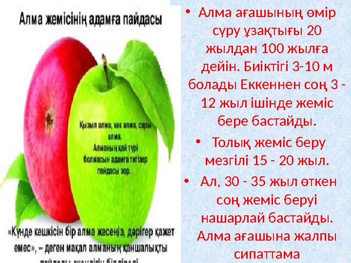 Интернетте орыс сексі жарияланды