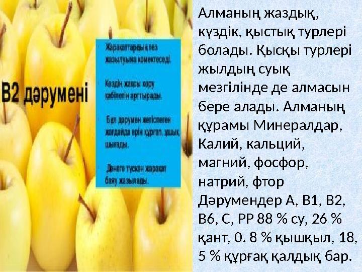•Алманың жаздық, күздік, қыстық турлері болады. Қысқы турлері жылдың суық мезгілінде де алмасын бере алады. Алманың құрамы