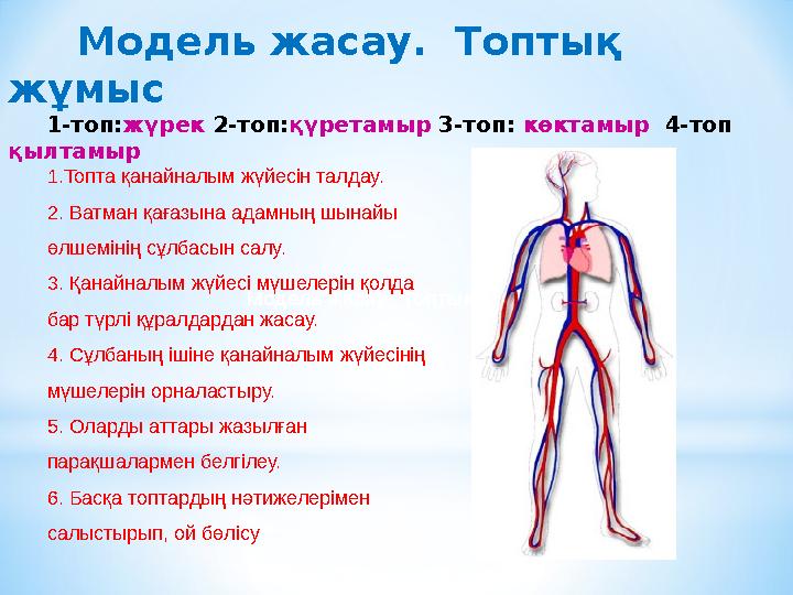 Модель жасау. Топтық жұмыс 1-топ:жүрек 2-топ:қүретамыр 3-топ: көктамыр 4-топ қылтамыр Модель жасау. Топтық жұмыс 1