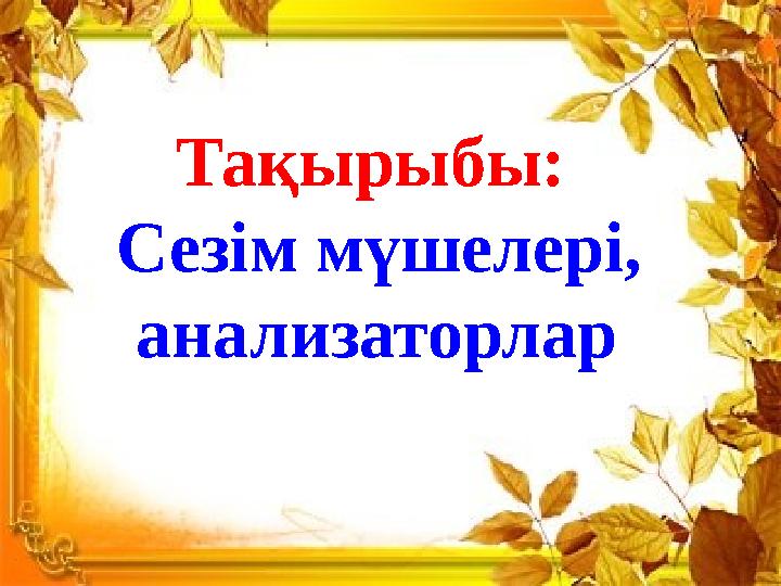 Орыс еркектері мен молдава әйелдерінің үлкен мүшесі бар секс 3D порно эльфпен секс