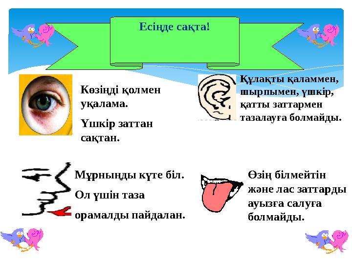 Порно әйелдер сорғылары Сандра Буллок порно актриса