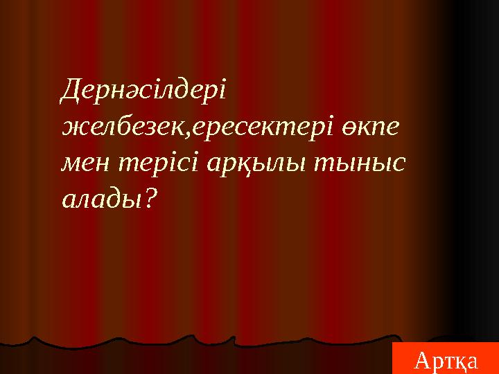 АртқаДернәсілдері желбезек,ересектері өкпе мен терісі арқылы тыныс алады?