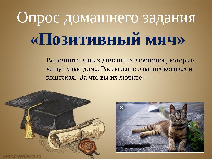 Опрос домашнего задания «Позитивный мяч» Вспомните ваших домашних любимцев, которые живут у вас дома. Расскажите о ваших котика