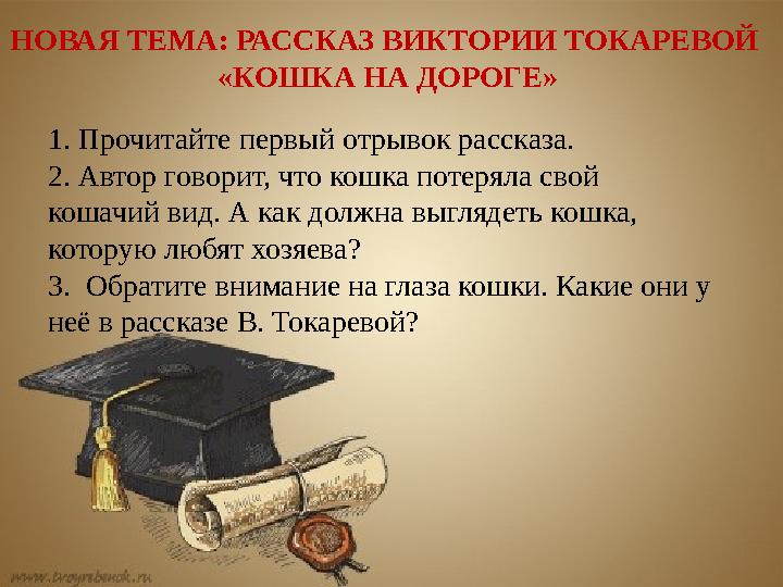 НОВАЯ ТЕМА: РАССКАЗ ВИКТОРИИ ТОКАРЕВОЙ «КОШКА НА ДОРОГЕ» 1. Прочитайте первый отрывок рассказа. 2. Автор говорит, что кошка пот
